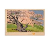 F I N U C B The Bishop’s Apricot - Gustave Baumann Vintage Southwestern Print - Woodcut Fruit Tree Scene Prints Posters Canvas Deco Paintings Wall Art For Office