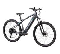 F.lli Schiano E-Mercury, Electric Bike for Adults, 29", Mountain Bike, 36V 20Ah (720Wh) Removable Battery, 250W Motor, 55Nm, Black