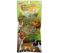 F.M. Brown's Tropical Carnival Natural Oat Spray Foraging Treat For Mice, Rats, Hamsters, Guinea Pigs, Rabbits and Other Small Animals - USA Grown and Harvested