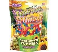 F.M. Brown's Tropical Carnival Sunflower Yummies Treat for Parakeets, Cockatiels, Parrots, Macaws, and Other Pet Birds, 3.5-oz Bag