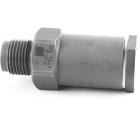 F00R000756 Fuel Pressure Relief Valve Common Rail Limiting Valve Compatible with Dodge Cummins 5.9 Diesel