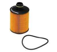 Bosch F026407096 Oil Filter Element