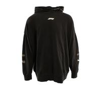 F1 Graphic Pullover Hoodie - male - PUMA - Hoodies - Black - M - Sweatshirts & Hoodies M
