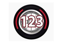 F1 Racing Tyre Wheelie Bin Number Sticker | Custom House Number Bin Decal | Formula 1 Wheel Bin Label | Personalised Wheelie Bin Sticker