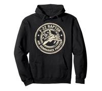 F22 Raptor Air Dominance Fighter Jet Insignia Graphic Pullover Hoodie