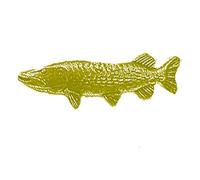 F40 Pike fish GOLD CHROME FINISH English Pewter pin badge with butterfly clasp clip