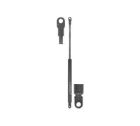 FA KROSNO 21160 Tailgate strut
