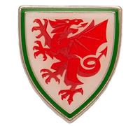 FA Wales Badge