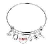 FAADBUK Storm Book Inspired Gifts Dresden Files Series Gift Jim Butcher Gift Storm Bracelet for Bookish, S, Stainless Steel, stainless steel