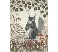 Fab Funky Card Collection - Country Lane - Red Squirrel