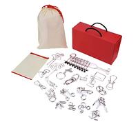 Fabater Brain Teaser Puzzles for Kids Adults - 20Pcs Metal Wire Puzzles Set IQ Mind Training Educational Toys, High Carbon Steel, Polished Surface, Non-, Safe, with Gift Box & Cloth