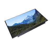 Fabater Display Without Tact LCD 16.1 Inch Full HD for a Lively Visual Enjoy