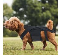 Fabater Dog Back Brace, Pet Back Support Vest Back Bracer for Dachshunds, Corgis et Al Other Dogs IVDD Arthritis, Herniated Disc, Spinal Recovery (L Size)