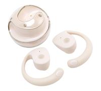 Fabater Real-time Translation Earbuds, State-of-the-art, 80 Languages, 14 Accents, AI Voice Translator, Noise Canceling Earbuds for Working Professionals and Tourists