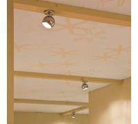 Fabbian Beluga Steel ceiling lamp direct 1-bulb