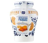 Fabbri - Zenzero Fabbri (Ginger) - 600g