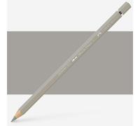 Coloured Pencil A Durer 72