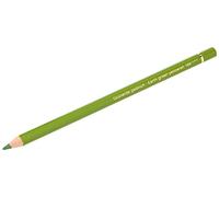 Faber-Castell Art & Graphic Polychromos Colour Pencil, (168), Earth Green Yellowish, for Art, Craft, Drawing, Sketching, Home, School, University, Colouring