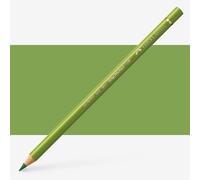 Faber-Castell : Polychromos Pencil : Earth Green Yellowish