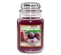 FabFinds Large 18oz Scented Glass Jar Candle Natural Soy Wax Gift Fragrance (Free FabFinds 8pcs Wax Melt) Burn Time: 104 Hours (Sugar Plum Pudding)