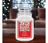 FabFinds Large 18oz Scented Glass Jar Candle Natural Soy Wax Gift Fragrance (Free FabFinds 8pcs Wax Melt) Burn Time: 104 Hours (Candy Cane)