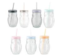 FabFinds Mason Jar with Straw and Lids Cute Owl Mason Jar for Drinks 480ml X 24 Pack