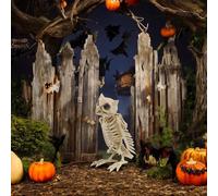 FabFinds Novelty Halloween Spooky Standing Animal Skeleton Decoration Large (L34cmXW14cm) (Natural Owl)
