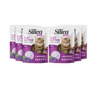 FabFinds Silica Max Cat Litter Antibacterial Gel Non-clumping Long Lasting Odour Control Dust Free Cat Litter 5L (6 Pack Lavender 5L)