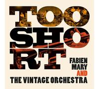 Fabien Mary & Vintage Orchestra - Too Short