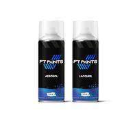 FabioT. Aerosol Spray Paint Kit Mixed By Car Registration Reg VIN Plate Chassis Number (Aerosol + Lacquer)