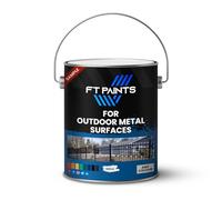 FabioT. FT Paints 100ml Sample Synthetic Paint with Gloss For Outdoor Metal Surfaces-RAL 9011-Graphite Black