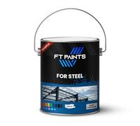 FabioT. FT Paints 100ml Sample Synthetic Paint with Gloss For Steel-RAL 7040-Window Grey