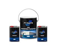 FabioT. FT Paints 6.05L Kit Epoxy Mica Paint with Matt Finish for Industrial facilities- RAL 7040-Window Grey