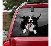 fabisup Cute Border Collie Crack 3D car Sticker, SUV Window Glass Personalized Decoration, Also Suitable for Refrigerator/ Toilet/ Notebook, 11.8 X 11.8 inches
