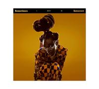 FABIVA Little Simz Sometimes I Might Be Introvert Album Cover Canvas Poster Bedroom Decor Sports Landscape Office Room Decor Gift Unframe-style 12x12inch(30x30cm)