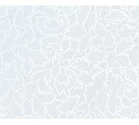 Fablon 67.5 cm x 2 m Roll Toulon Self Adhesive Window Film