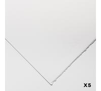 Fabriano : 5 : Watercolour Paper : 300gsm : 50x70cm : 5 Sheets : HP