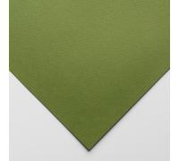 Fabriano : Tiziano : Pastel Paper : 50x65cm : Moss (Muschio)