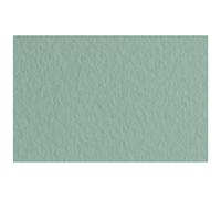 Fabriano Tiziano Salvia 21297113 Pastel Paper DIN A4 50 Sheets 160 g/m² Highly Rough Acid Free and Ageing Resistant Non-Slip Rough Surface