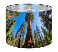 Fabric Drum Lamp Shade Sequoia Tree Rising to Sky Sequoia National Park Vintage Funky Medium Linen Decorative Lampshades 13inch Set of 1 for Table Lamps, Floor Lamps,Ceiling Lamp