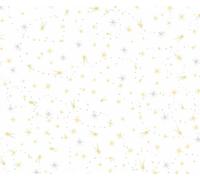 Fabric Flair Fairy Dust Silver Gold 14 Count Fat Quarter Aida Measuring 45cm x 50cm (18 x 19 Inches)