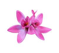 Fabric Flower Hair Clip Wedding Hairpin Elegant Hawaiian Women Hair Barrettes Side Bangs Side Clip Hair Decors