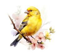 Fabric Panel 8"x8" Canary 100% Cotton Quilting Sewing Square N2325