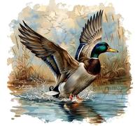 Fabric Panel 8"x8" Mallard Duck 100% Cotton Quilting Sewing Block R2076