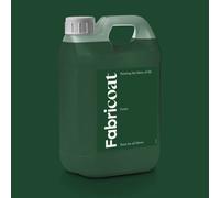 Fabricoat Fabric Paint - Restore or Change the Colour of Any Fabric - Paint Directly Onto Fabric - Transform Anything - Sofas, Lampshades, Car Interiors (2.5L, Green)