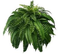 FABSELLER Artificial Ferns 25'' Faux Fern for Outdoors, UV Resistant Fake Boston Fern Large Lifelike Faux Greenery Plants for Home Decor