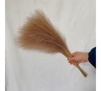 FABULETTA Foxtail Grass Artificial Pampas Grass Made From Synthetic Fibers, Designed To Add A Colorful And Textured Look To Indoor And Event Decorations(coffee)