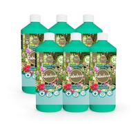 Fabulosa 4 in 1 All Purpose Outdoor Disinfectant, Cleaner and Odour Remover for Patios, Driveways and Decking, 1L, 6 Pack, Meadow Fresh