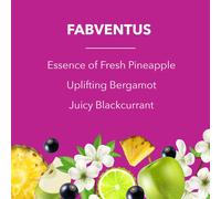 Fabulosa 4 in 1 Concentrated Antibacterial Disinfectant All Purpose Cl