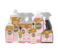 Fabulosa All-in-One General Household Cleaning Bundle, Cleaners and Fresheners, Antibacterial Sprays and Disinfectants, Long Lasting Room Perfume, 8 Pack, Caramel Dates